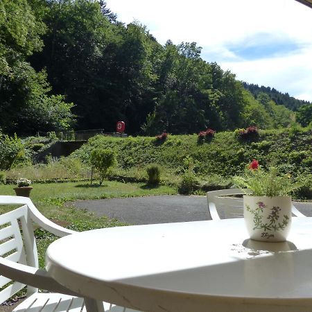 Appartement Entier Renove Dans Un Ecrin De Verdure Thann Buitenkant foto