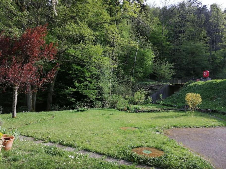 Appartement Entier Renove Dans Un Ecrin De Verdure Thann Buitenkant foto