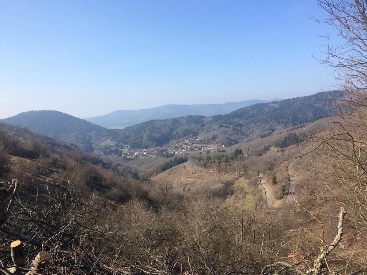 Appartement Entier Renove Dans Un Ecrin De Verdure Thann Buitenkant foto