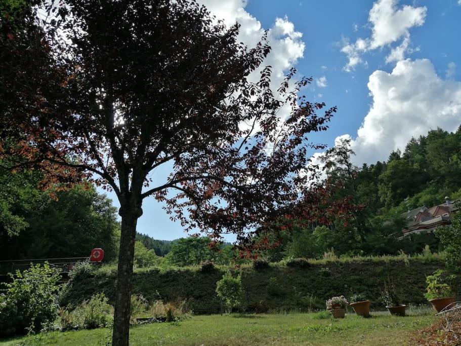 Appartement Entier Renove Dans Un Ecrin De Verdure Thann Buitenkant foto