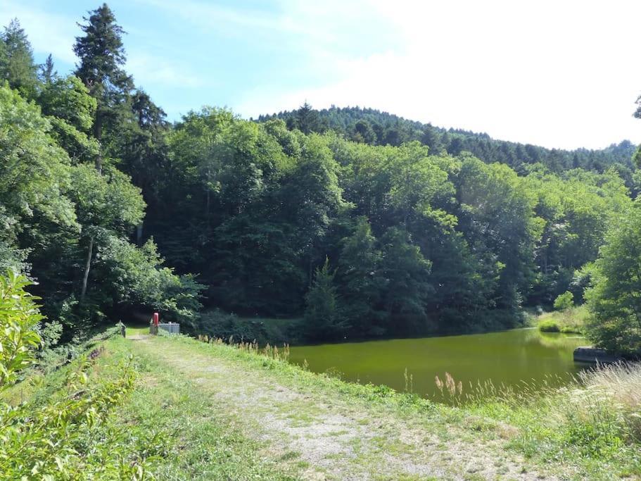 Appartement Entier Renove Dans Un Ecrin De Verdure Thann Buitenkant foto