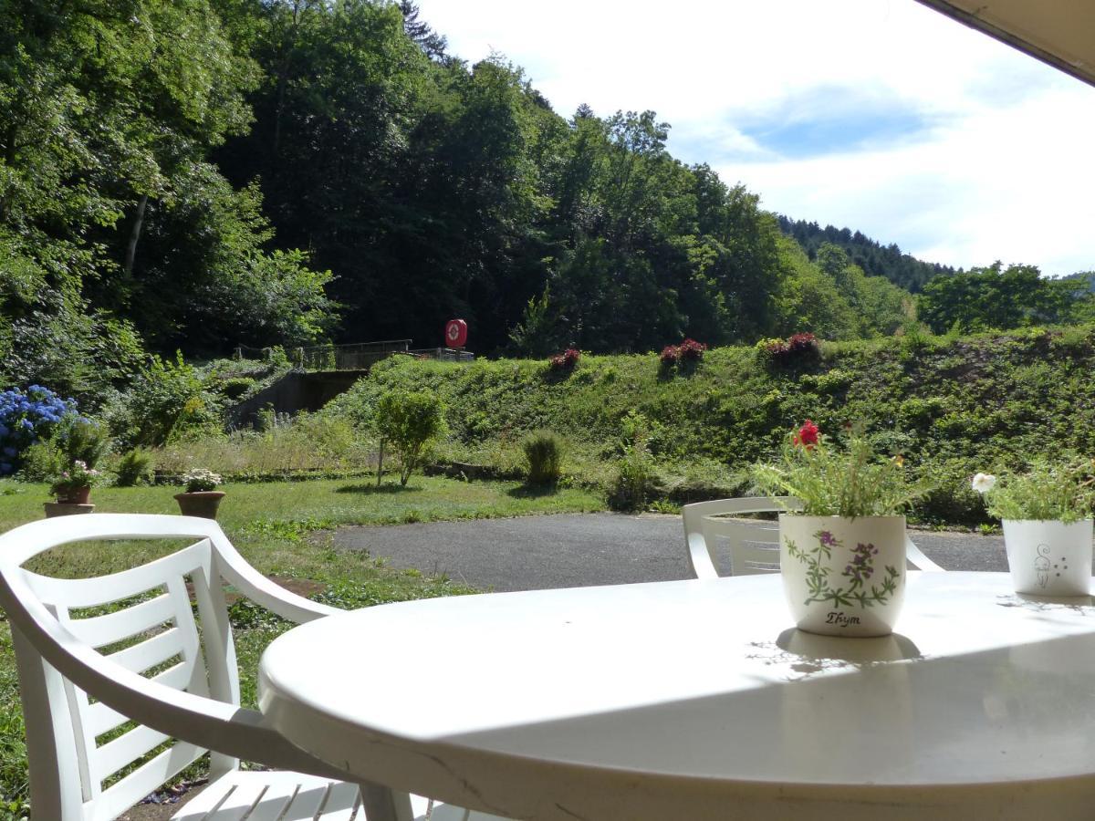 Appartement Entier Renove Dans Un Ecrin De Verdure Thann Buitenkant foto